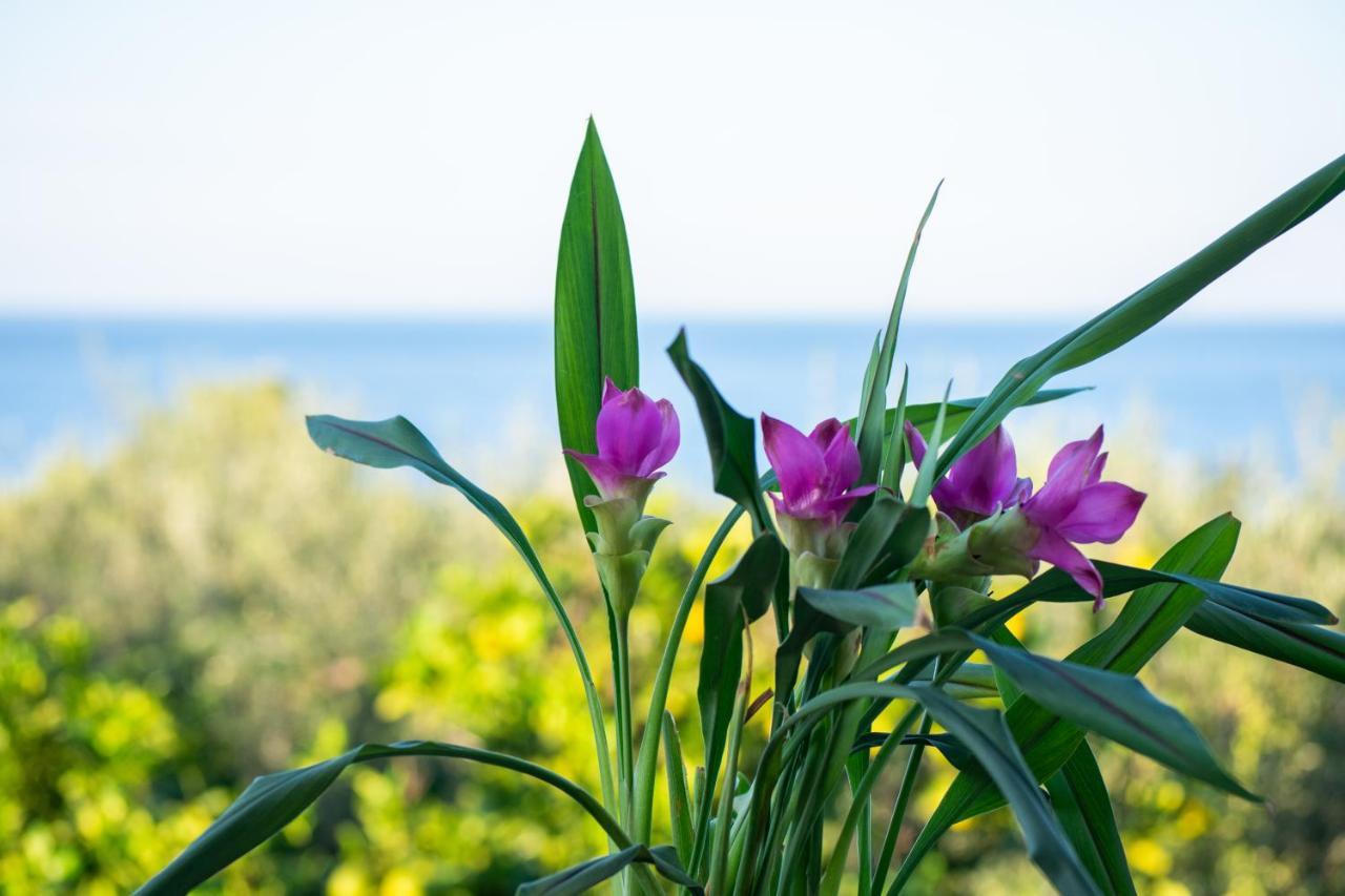 Sosos 2 Bedroom House With Sea View พลานอส ภายนอก รูปภาพ